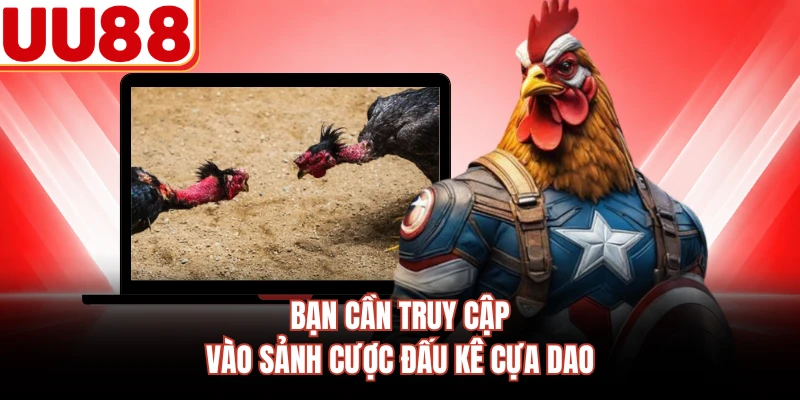 Bạn cần truy cập vào sảnh cược đấu kê cựa dao